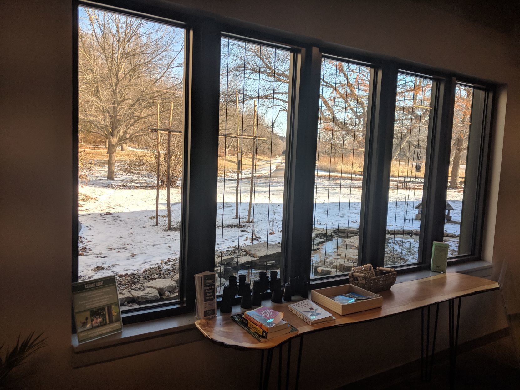 Schramm bird feeding area